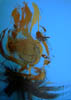DSCN0249