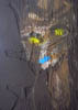 DSCN0253