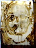 DSCN0282