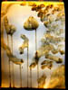 DSCN0287