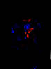 DSCN0297-2
