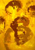 DSCN0339