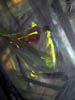 DSCN0742
