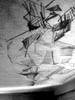 DSCN0862