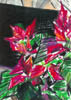 Scan0003