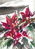 Scan0004