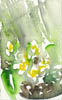 Scan00051