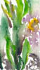 Scan00061