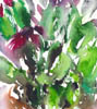 Scan0009