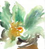 Scan0010-2
