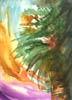 lonelypalm