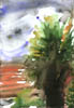 lonelypalm2