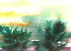 palms