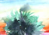 palmtreeandsky