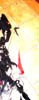 profiladam