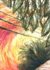 wildleaves
