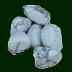 Howlite