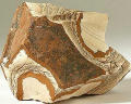 Jasper/Picture