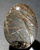 Rutilated Quartz