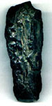 Coal