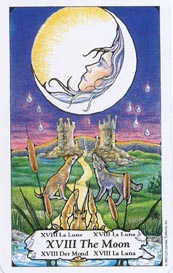 The Moon