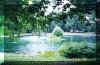View of Goose Pond