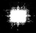 Aenima - 1996 - Second Full Length Release - Includes "Stinkfist" (a.k.a. "Track 1") and "Aenema"