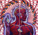 Lateralus - 2001 - Fifth Release - Includes "Schism" and "Parabola"