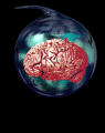 Throbbing Brain