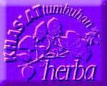 Khasiat Herba