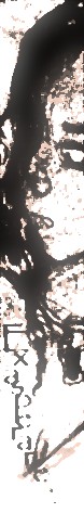 looksee