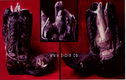 Petrified Human Leg