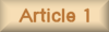 Article 1 - graphic page name button