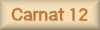 Carnat 12 - graphic page name button