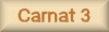 Carnat 3 - graphic page name button
