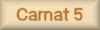 Carnat 5 - graphic page name button