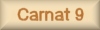 Carnat 9