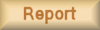 Report - graphic page name button