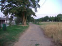 PISTA AMPLIA