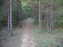 ZONA BOSCOSA