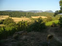 COLLADO