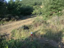 LLEGADA A PISTA