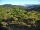BUENAS VISTAS