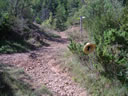 CRUCE 4 CAMINOS