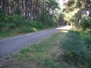 PISTA ASFALTADA