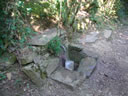CA&Ntilde;O EN EL CAMINO