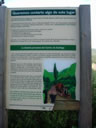 PROPUESTA PASEO