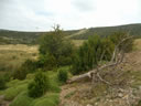 LLANURA DE LA FUENTE