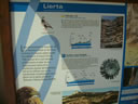INFORMACI&Oacute;N LIERTA