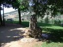 FUENTE BANCO SALUD